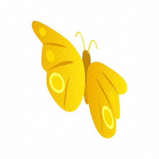 Butterfly, colorful, insect, isometric, nature, summer, wing icon - Download on Iconfinder
