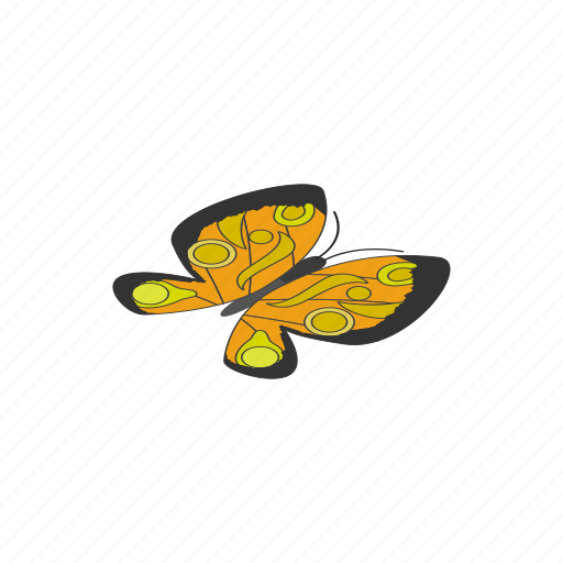 Butterfly, colorful, insect, isometric, nature, summer, wing icon - Download on Iconfinder