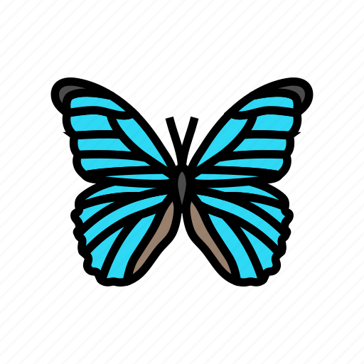 Giant, blue, morpho, spring, butterfly, summer icon - Download on Iconfinder