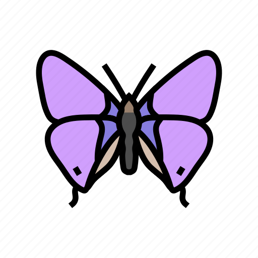 Long, tailed, blue, spring, butterfly, summer icon - Download on Iconfinder