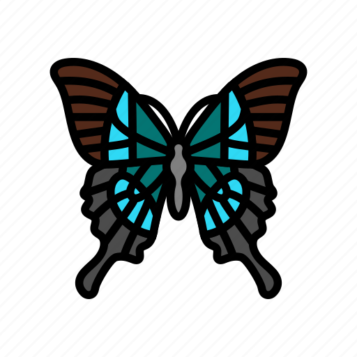Malabar, banded, peacock, insect, butterfly, summer icon - Download on Iconfinder