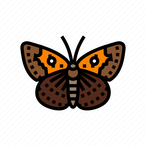 Mormon, metalmark, insect, butterfly, summer, spring icon - Download on Iconfinder