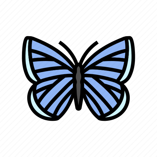Spring, insect, butterfly, summer, nature icon - Download on Iconfinder