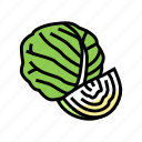 cabbage, healthy, vegetable, natural, vitamin, food