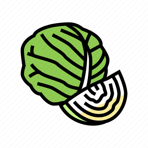 Cabbage, healthy, vegetable, natural, vitamin, food icon - Download on Iconfinder
