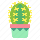 cactus, botanical, nature, plant, dessert