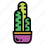 cactus, botanical, nature, plant, dessert 