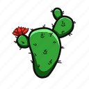 cactus, cacti, flower, plant, succulent
