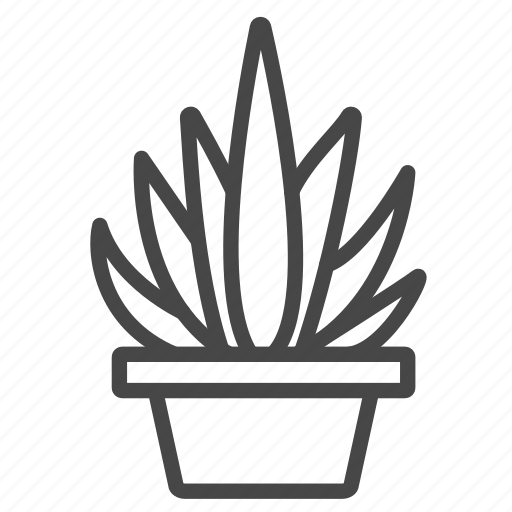 Botany, cactaceae, cactus, plant, succulent, tropical icon - Download on Iconfinder