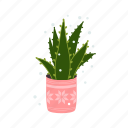 cactus, flat, icon, pot, cacti, plant, houseplant, flower, decoration