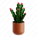 chrrismas, cactus, plant, nature, pot, botanical, 3d icon, 3d illustration, 3d render 