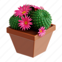crown, cactus, plant, nature, pot, botanical, 3d icon, 3d illustration, 3d render 