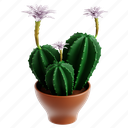 easter, lily, cactus, plant, nature, pot, botanical, 3d icon, 3d illustration 