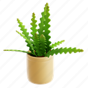 fishbone, cactus, plant, nature, pot, botanical, 3d icon, 3d illustration, 3d render 