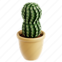 lace, cactus, plant, nature, pot, botanical, 3d icon, 3d illustration, 3d render 