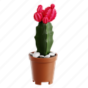 moon, cactus, plant, nature, pot, botanical, 3d icon, 3d illustration, 3d render 