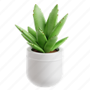 panda, plant, cactus, nature, pot, botanical, 3d icon, 3d illustration, 3d render 