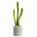 rat, tail, cactus, plant, nature, pot, botanical, 3d icon, 3d illustration 