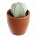 star, cactus, plant, nature, pot, botanical, 3d icon, 3d illustration, 3d render 