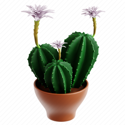 Easter, lily, cactus, plant, nature, pot, botanical 3D illustration - Download on Iconfinder