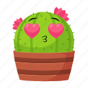 cactus, cacti, green, garden, plant, nature, flower, love, romance, valentine