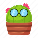 cactus, glasses, eyeglasses, flower, plant, nature, ecology, emotion, emoji