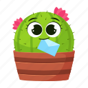 cactus, mail, plant, nature, message, letter, chat, email