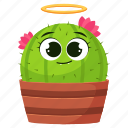 cactus, 2