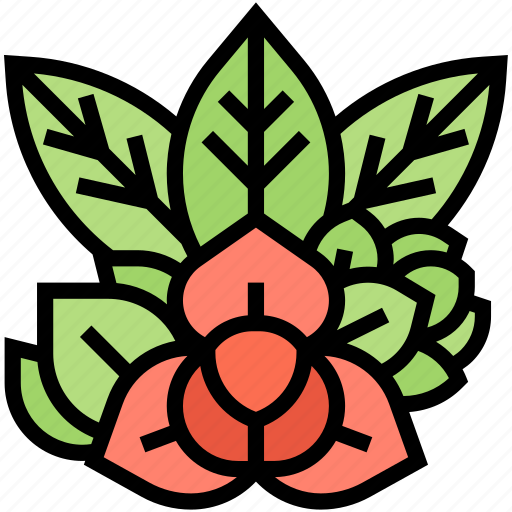 Rumdul, flower, tree, nature, national icon - Download on Iconfinder