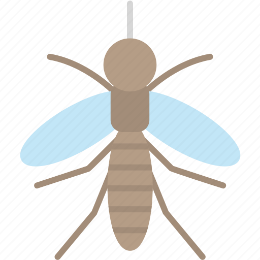 Mosquito, biter, fly, insect, insects icon - Download on Iconfinder