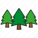 forest, nature, pine, plant, tree, trees