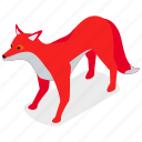 fox, animal, wild, wildlife