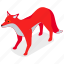 fox, animal, wild, wildlife 