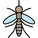 mosquito, biter, fly, insect, insects
