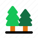 forest, pine, tree, plant, christmas, nature, mountain