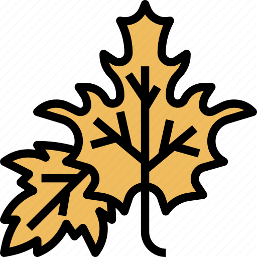 Maple, leaf, tree, foliage, canada icon - Download on Iconfinder