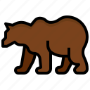bear, grizzly, animals, nation, life