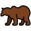 bear, grizzly, animals, nation, life 