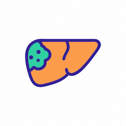 Cancer, contour, disease, illness, liver icon - Download on Iconfinder