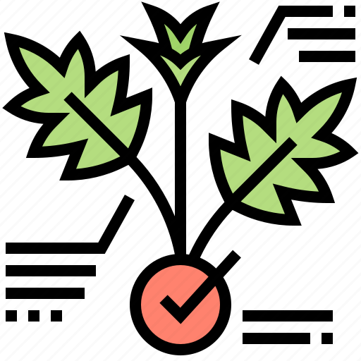 Cannabis, diagram, herb, leaf, plant icon - Download on Iconfinder