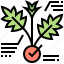 cannabis, diagram, herb, leaf, plant 