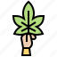 cannabis, herb, leaf, natural, weed 