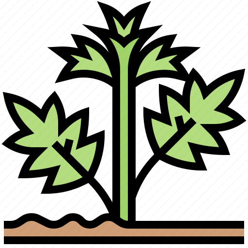 Hemp, herb, leaf, natural, plant icon - Download on Iconfinder
