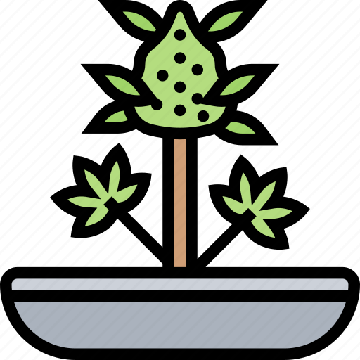 Cannabis, flower, hemp, herb, grow icon - Download on Iconfinder