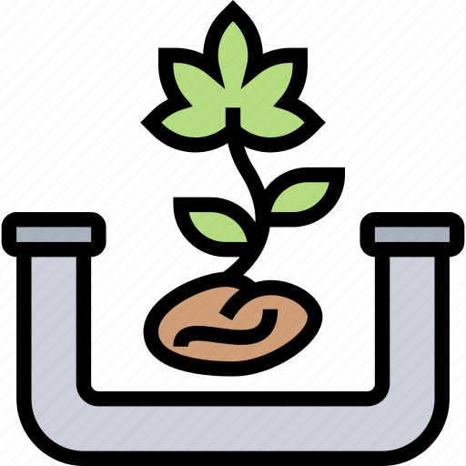 Cannabis, seeds, grow, plant, agriculture icon - Download on Iconfinder