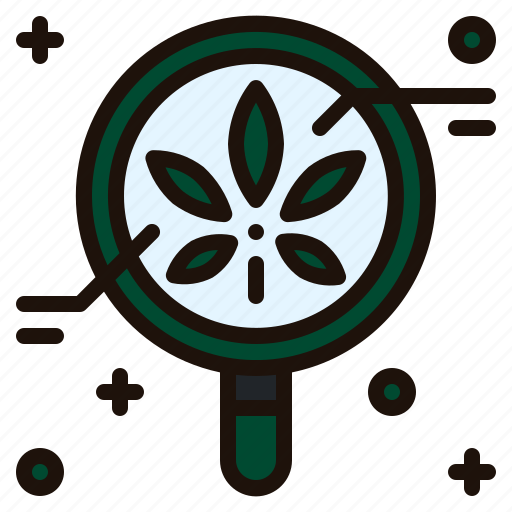 Research, loupe, cannabis, marijuana, weed, education, magnifying icon - Download on Iconfinder