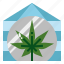 greenhouse, glasshouse, cannabis, marijuana, cultivation 