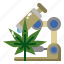 laboratory, cannabis, cbd, research, healthcare 