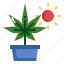 lighting, planting, cannabis, smart, farm, marijuana 