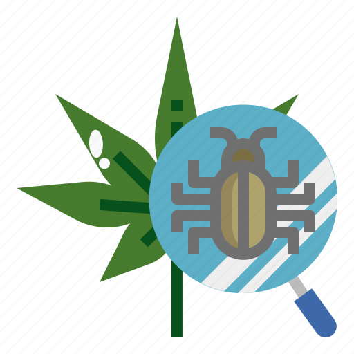 Plant, disease, entomology, cannabis, science, pest icon - Download on Iconfinder